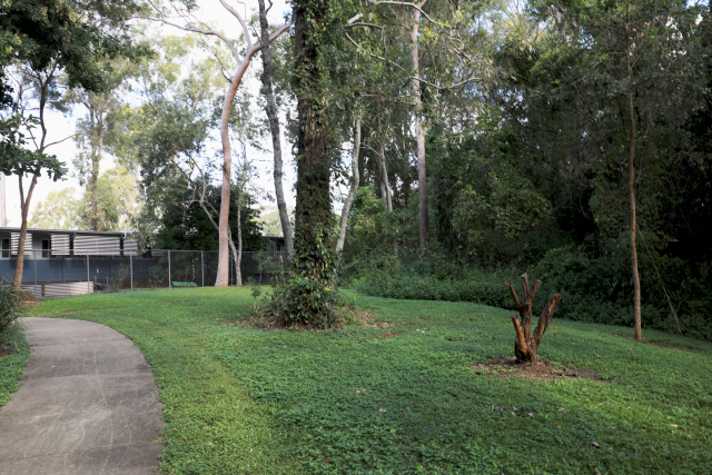 bike track